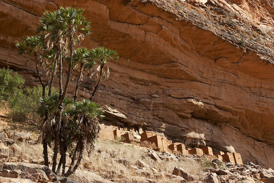 56   Dogon and Tellem houses near Teli